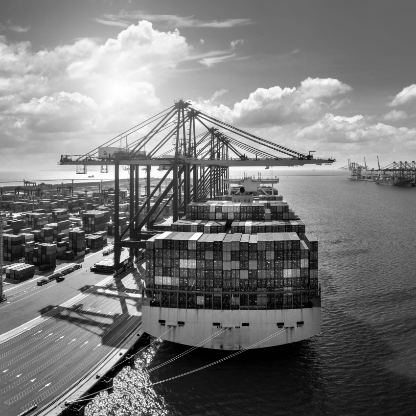 International Trade